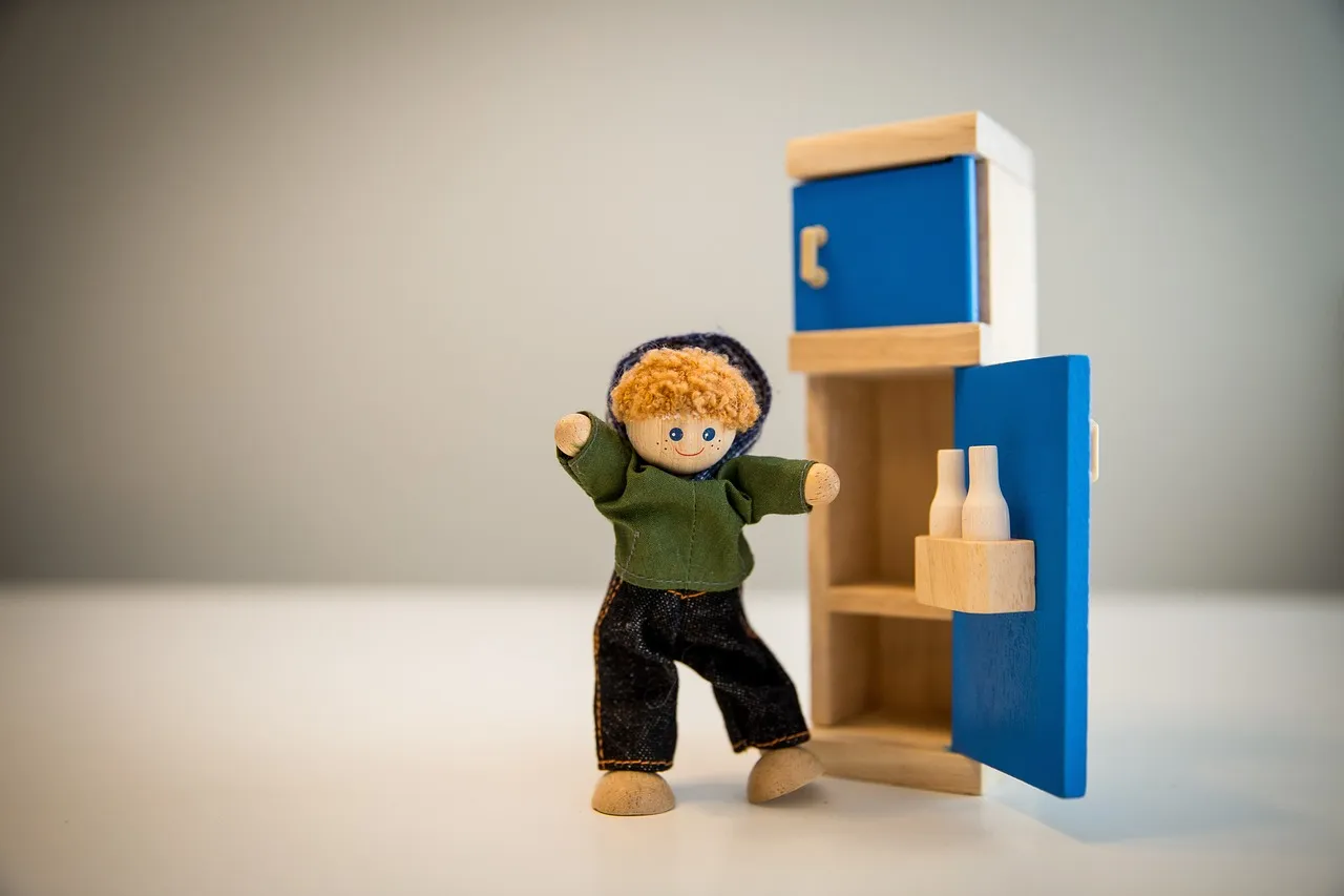 How to maintain a refrigerator? Tips to extend the life of your refrigerator